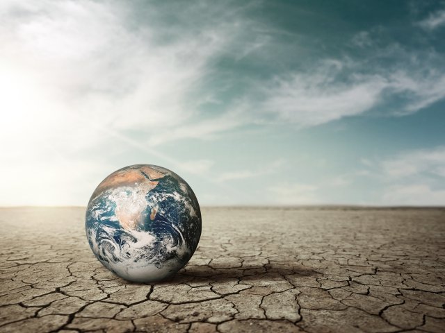 Role of Market Research in the Changing Climate Scenario